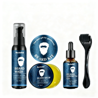 Produits de soin pour hommes sur mesure, marque privée, huile de soin de la barbe, kit de soin de la barbe biologique pour hommes