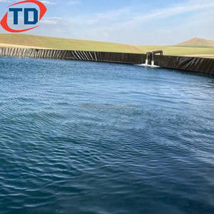 Prix au rouleau Géomembranes en HDPE pour barrière contre les racines d'arbres 1mm 2mm 1.5mm Géomembrane pour revêtements de bassins à poissons 45mil 60mil 80mil - Product Image 3