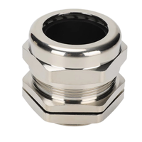 IP68 5 Bar Unterwasser Wasserdichte Edelstahl-Kabelverschraubungen PG-Gewinde PG48 Niederspannung HJSI SS304/SS316 PG7-PG63 Industriell