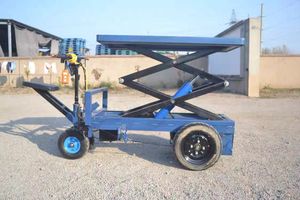 Plataforma elevadora de andamios eléctrica de alta calidad serie DP 300kg 500kg - Product Image 2