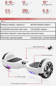 Gratis Verzending Duits Magazijn Hoge Kwaliteit Z1 2-wiel Elektrische Scooter 36V Unisex Zelfbalancerende 500W Motor Offroad 10ah 120Kg - Product Image 3
