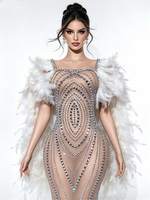 Robe longue de luxe en maille scintillante avec manches à plumes, coupe enveloppante, pour hôte de réunion annuelle, défilé sur le tapis rouge et costumes de performance