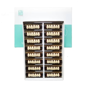 Dents artificielles en résine acrylique, dents de prothèse dentaire, dents en résine composite <span class=keywords><strong>pour</strong></span> prothèses complètes et prothèses partielles - Product Image 6
