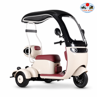 Trike Listrik 3 Roda yang Tahan Lama untuk Penggunaan Keluarga dengan Dasbor Digital