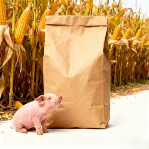 Hochwirksamer KFY1 Wiederkrautfresser-Probiotikum-Verstärker Aspergillus Oryzae Kultur Multi-Enzym-Komplex für Milchvieh und Rinder zur Regulierung des Rumen-pH-Wertes - Product Image 3