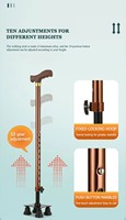 Prix de gros, béquille pour personnes âgées, type extensible, réglage de la hauteur, tube en aluminium pour canne de marche pour personnes âgées