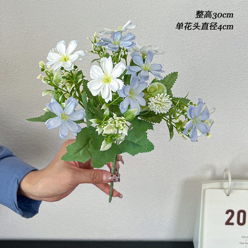 Crisantemo mariposa echeveria azul-tallo único