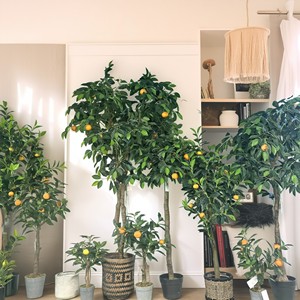 Orangen baum Realistische UV-beständige künstliche Bonsai-Pflanze Innen-/Außen dekorative Artifici elles für Wohnzimmer - Product Image 2