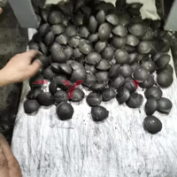 Máquina Completa de Alta Presión para Fabricar Briquetas de Carbón y Polvo de Coque con Motor de Corriente Alterna