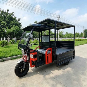 Triciclo Eléctrico de Carga Pesada para Entrega, Motocicleta Agrícola de 3 Ruedas para Adultos con Energía Solar - Product Image 4