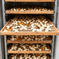 Thee- en kruidendroogmachine, CE-gecertificeerde droogoven met nauwkeurige temperatuurregeling voor planten en specerijen