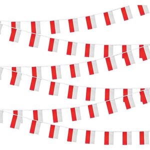 ธงประดับขนาดเล็กแบบพวงมาลัยสไตล์โปแลนด์ ขายส่ง - Product Image 6