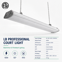 Projecteur linéaire haute performance LBG 150W pour terrains de sport, IP54, grille optique, faisceau large 100 degrés, driver Philips pour terrains de tennis et de pickleball intérieurs