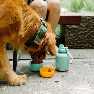 Tompo 2025 nouveau ODM 3 en 1 simple paroi en acier inoxydable Pet bouteille d'eau chien alimentation bouteilles d'eau Pet voyage bouteille d'alimentation en eau - Product Image 3