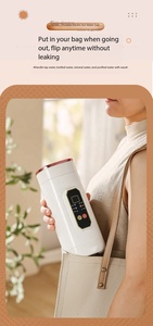 Bouilloire Électrique Portable GIET 316 0,45L 450W à Ébullition Rapide, Appareil Ménager Automatique pour Bébé, <span class=keywords><strong>Chauffe</strong></span>-<span class=keywords><strong>Eau</strong></span> Domestique – <span class=keywords><strong>Promotion</strong></span> - Product Image 6