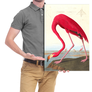 Impression sur toile suspendue Art Déco John <span class=keywords><strong>James</strong></span> Audubon Flamant rose américain et Heron bleu, décoration intérieure pour chambre, cuisine, salon, vente en gros - Product Image 5