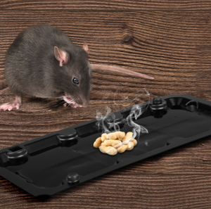 Yakalamak fare fareler plastik yapışkan yapıştırıcı fare tutkal tuzağı yapışkan sıçan tuzağı tutkal tuzağı sıçan yapışkan panoları - Product Image 6