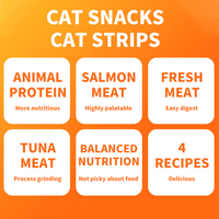 Friandises pour animaux de compagnie personnalisables directement de l'usine, collations humides riches en protéines et saines pour chats et chiens, en plusieurs saveurs