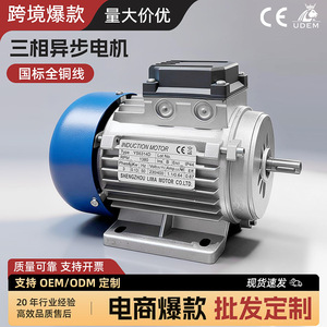 มอเตอร์แบบอะซิงโครนัสสามเฟส 120W 380V อุปกรณ์เครื่องกลประสิทธิภาพสูงสำหรับอุตสาหกรรม - Product Image 2