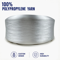 Anti-UV FDY Festes Rohes 100% Polypropylen-Garn für Handstrickarbeiten und Sicherheitsgurte