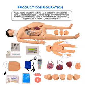 Ada F55 Medische Wetenschapstrainingpop Voor Bevalling En Moederlijke Zorg Met Skeletmodel - Product Image 5