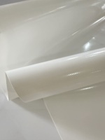 Protection contre les incendies efficace Matériaux chimiques Usine Ventes directes Wearability Bâche en PVC