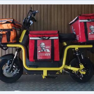 Bicicleta Eléctrica al por Mayor para Reparto, <span class=keywords><strong>Bici</strong></span> Eléctrica para Adultos, Bicicleta Eléctrica de Reparto con Potencia de 60V - Product Image 5