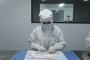 <span class=keywords><strong>Endotoxin</strong></span> <0.02 EU/mg-돼지 아틀로콜라겐 스폰지 SL ISO 13485 인증 - Product Image 4