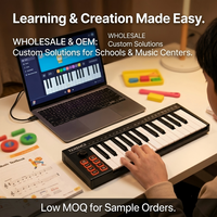 Clavier MIDI K25 TERENCE 25 touches – Contrôleur USB compact pour l'école, la salle de musique et les centres de formation – Vente en gros