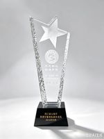 Plaque de cristal personnalisée, trophée gravé au laser, récompense d'entreprise pour souvenir de cérémonie