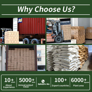 Düşük Kalorili Sağlıklı Yiyecek Shirataki Pirinci Hindistan Cevizli Konjac Kuru Pirinç - Product Image 5