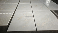 Dalles et Plaques de Marbre Blanc Rhino Bianco Nambia Poli Transparent de Luxe Moderne pour Murs et Sols, Décoration Intérieure Royal White