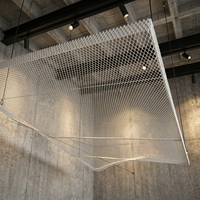 Panneau de mur rideau en métal expansé en aluminium industriel anodisé anti-corrosion pour application extérieure