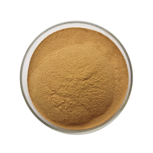 100% poudre d'extrait de <span class=keywords><strong>basilic</strong></span> sacré en vrac organique naturel - Product Image 3