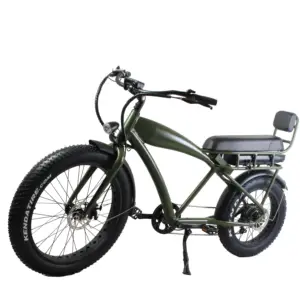 Fat tire tandem electric bike 2 people person bicycle dual 2 two