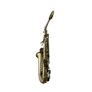 SEASOUND <span class=keywords><strong>Saxofón</strong></span> <span class=keywords><strong>Alto</strong></span> Profesional Vintage de Cobre Dorado, Instrumento de Viento Madera JYAS102VGGC OEM, Tono Excepcional, Plegable en Mi bemol - Product Image 4