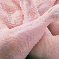 Cuisses de poulet congelées de qualité supérieure, fraîchement transformées, certifiées Halal, pour la vente en gros