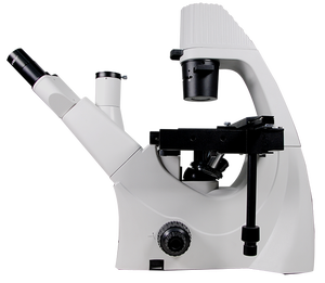Microscope biologique inversé Phenix PH-XDS5 économique, équipé d'un excellent système optique pour la recherche scientifique et les universités - Product Image 3