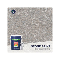 Peinture en spray époxy Vanlei, peinture liquide effet pierre, revêtement texturé effet granit avec effet pierre véritable