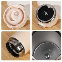 Bouteille d'eau intelligente avec affichage de la température, thermos en acier inoxydable à isolation sous vide, LED, pour la salle de sport, le fitness, le bureau, la maison, les voyages