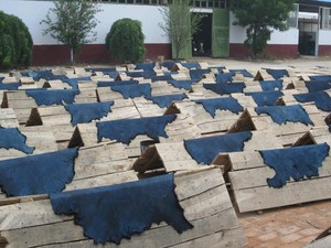 Piel de cordero de gamuza genuina para forro de zapatos, <span class=keywords><strong>Collar</strong></span> de ropa, 100% Australia, piel de cordero, fabricante de piel de oveja genuina - Product Image 6