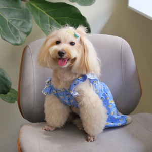Vêtements pour animaux de compagnie, robe florale bleu ciel, respirante, style décontracté été-printemps - Product Image 2