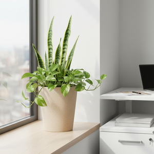 Maceta Leizisure Jepson Retro Creativa de Resina de Magnesio, Personalizada, con Diseño de Hoja de Tigre, Grande, con Autorriego - Product Image 3