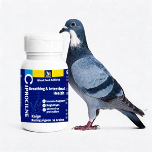 Grains de reproduction de précision pour pigeons de course les plus vendus : Santé respiratoire et <span class=keywords><strong>intestinale</strong></span>, immunité, yeux brillants, protection contre l'adenovirus - Product Image 1