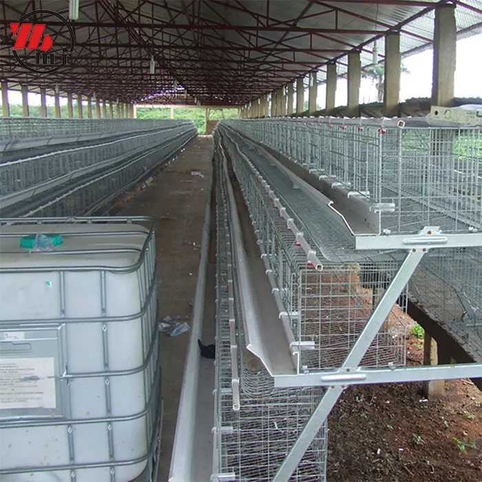 New Design Automatic A Type Layer Cage Chicken Coop
