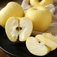 Verse Golden Delicious Appels Premium Geel Fruit Zoete Knapperige Appels Voor Groothandelsimporteurs