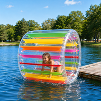Vente directe d'usine, jouets flottants sur l'eau, roue à eau gonflable légère en PVC