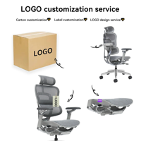 Chaise de bureau ergonomique en aluminium de qualité supérieure avec accoudoirs 8D, soutien lombaire réglable, siège en maille – Fournisseur en gros de chaises d'ordinateur