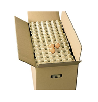 Vente en gros de cartons d'oeufs de qualité alimentaire plateau à oeufs en pâte de papier solide pour boulangeries restaurants dossier éponge de stratification mate
