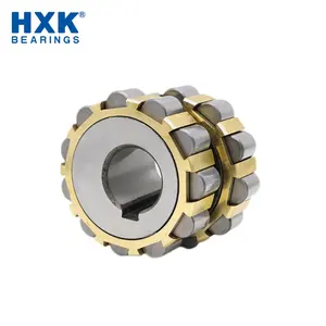 High Precision Good Performance Eccentric Bearing 60943 6111115 Cylindrical Roller Bearing